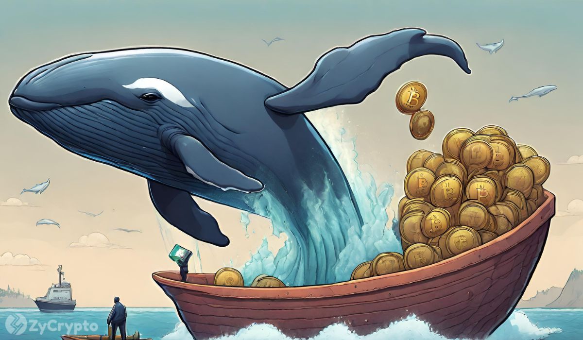 Bitcoin Whales Move Record $2.3 Billion from Exchanges, Coinbase Leads in BTC Outflows