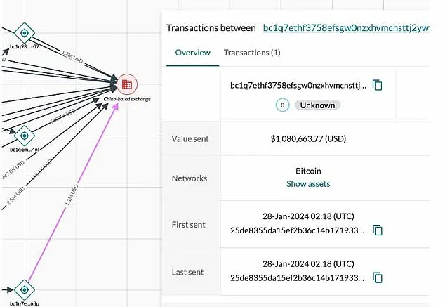 Analytics firm Elliptic believe some of the missing Bitcoin dormant until as recently as January 2024 - when around $1m of it was moved to a Chinese based exchange