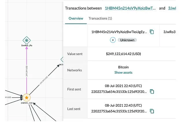 Elliptic say that around $250million of bitcoin in 2021, now worth around £250million, was emptied from a wallet on July 8 three years ago