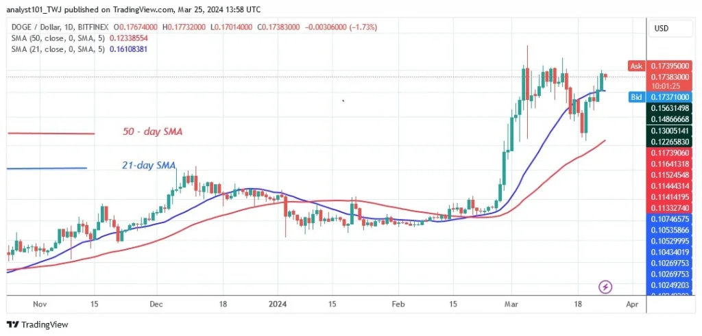 DOGEUSD_ (Daily Chart) –March 25 (2).jpg