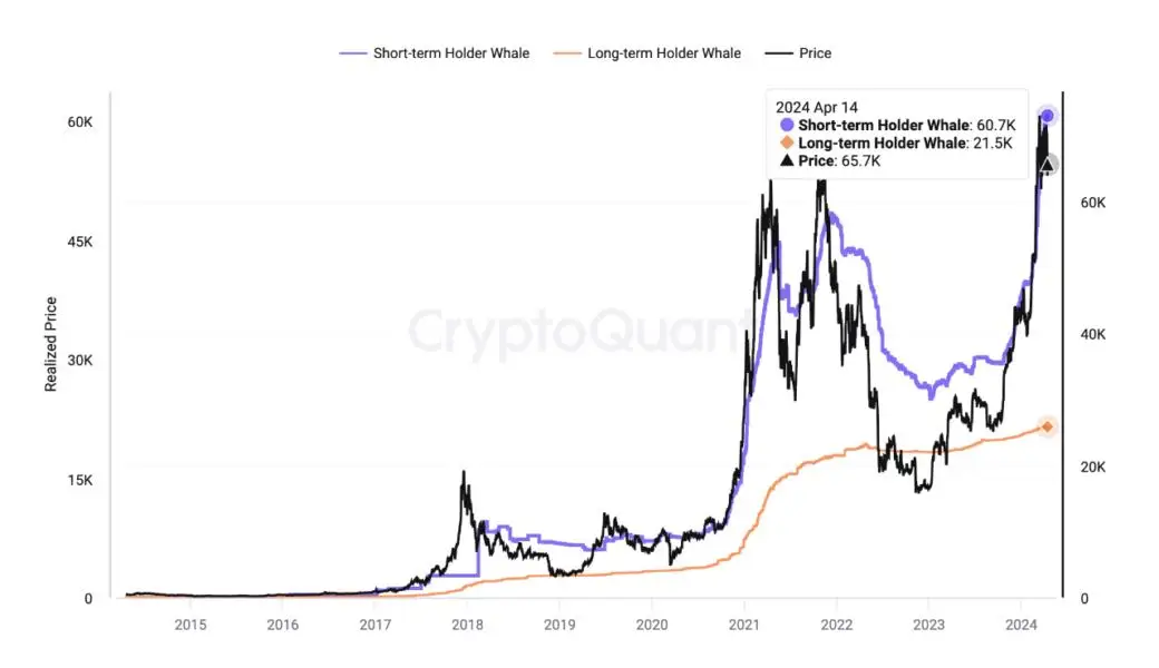 Bitcoin Short-Term Holder Whales