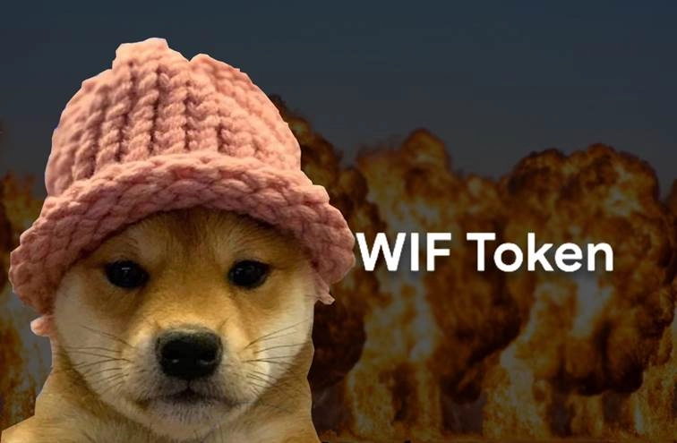 Predictions and Analysis for Dogwifhat’s Future Value: WIF & BUDZ Cryptocurrency Projections