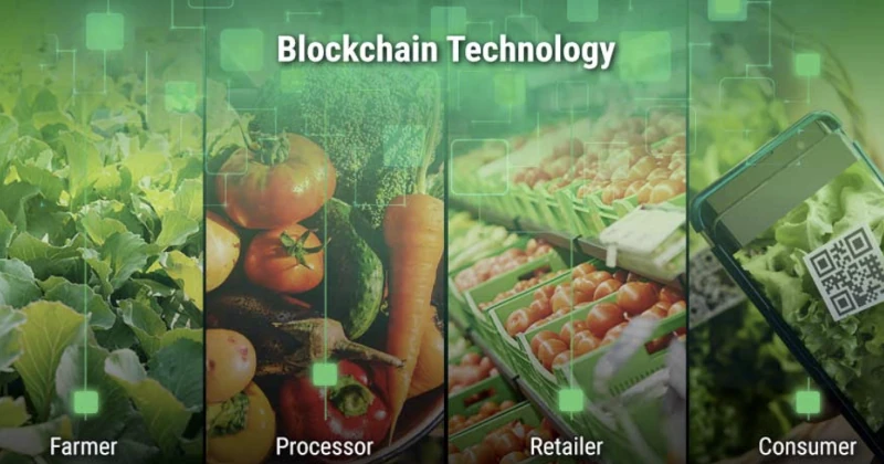 Revolutionizing Supply Chains in the Food Industry: The Impact of Blockchain and Automation