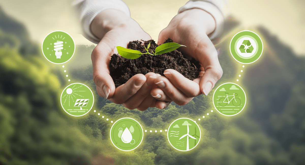 Top 10 Remarkable Initiatives Driving Blockchain Sustainability in 2024