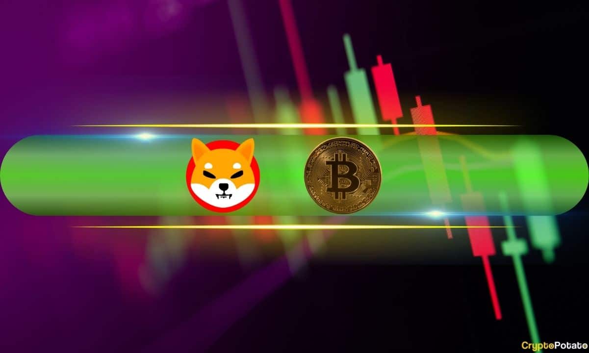 Weekend Watch: Shiba Inu Surges 18%, Bitcoin Hits $65K