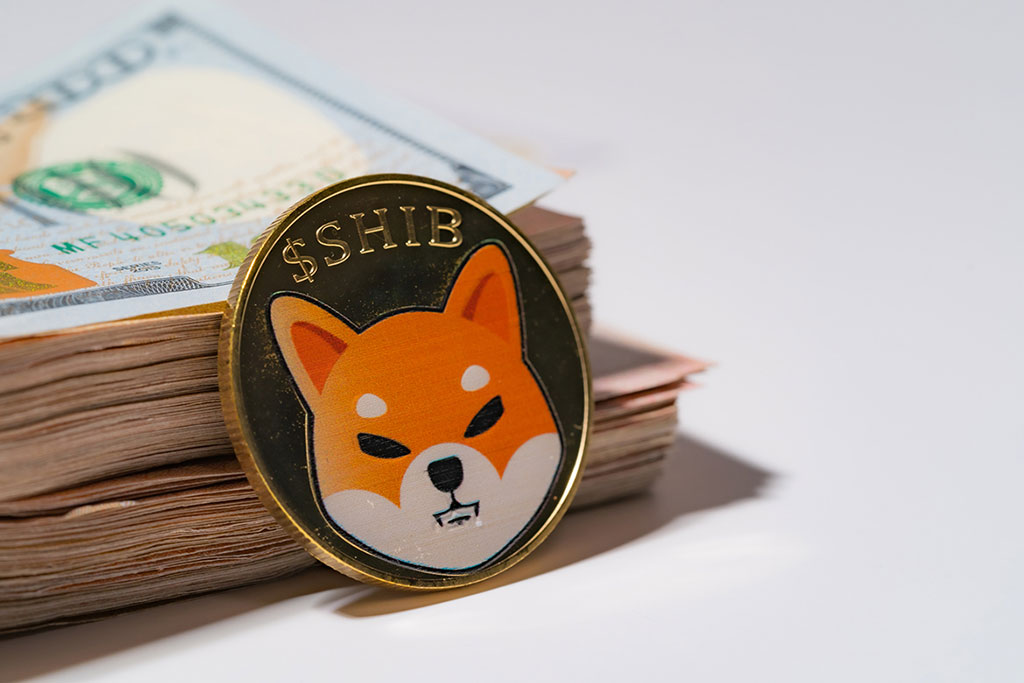 Enhancing Blockchain Development: Shiba Inu Raises $12M to Expand Ecosystem