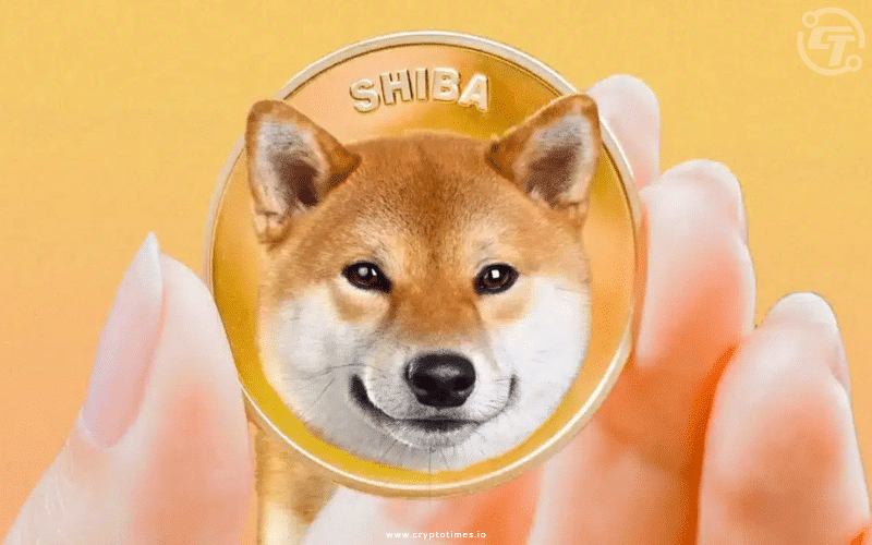 Shiba Inu Initiates $12M Investment Round for Innovative Blockchain Technology