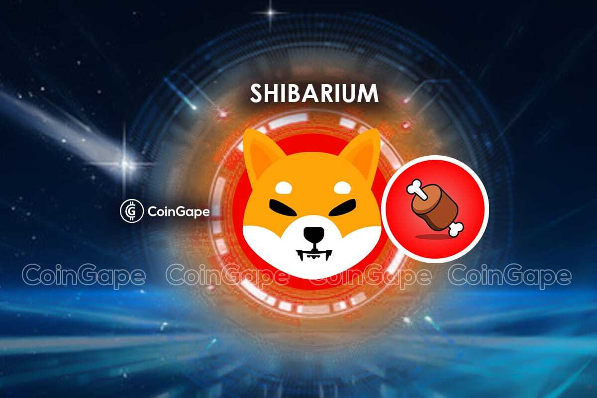 Unveiling BONE Use Case: Shiba Inu Lead Explores Layer 3 Blockchain