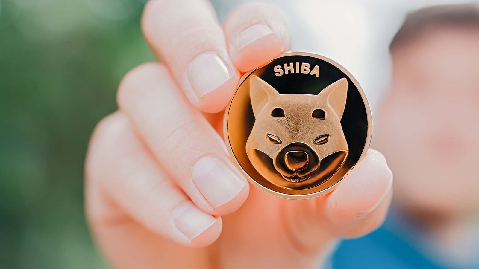 Shiba Inu’s Privacy Blockchain Raises $12 Million in SHIB Crypto Funding