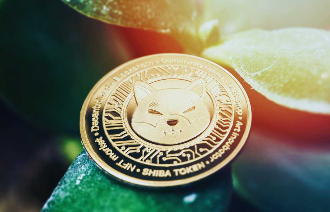 Comparative Analysis: Shiba Inu vs. Shiba Budz – A Comprehensive Guide for Crypto Investors