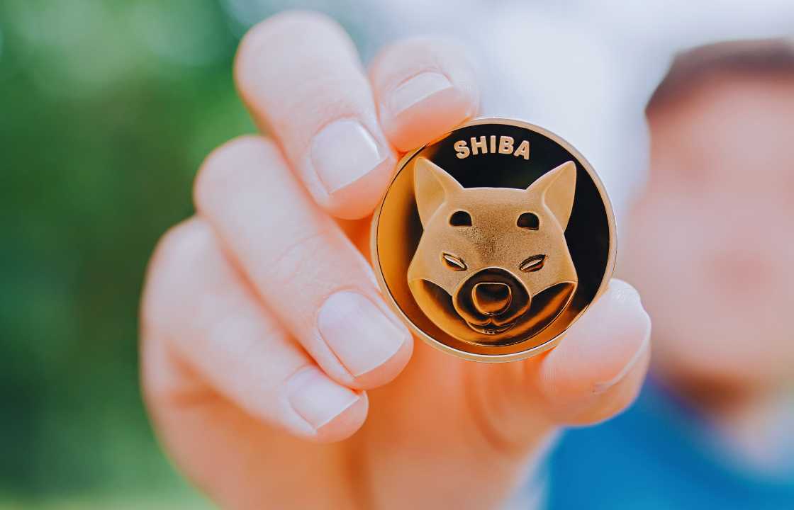 Comparative Analysis: Shiba Inu vs. Shiba Budz – A Comprehensive Comparison for Crypto Investors