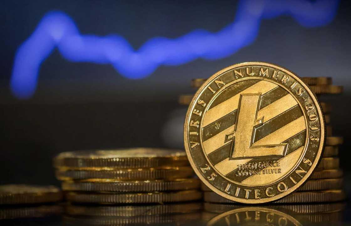 Litecoin’s Value Jumps by 5% in a Single Day