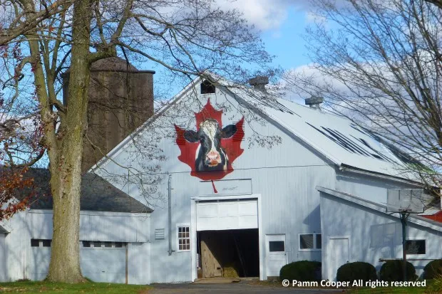 Mapleleaf Dairy Farm Pamm Cooper, UConn Home & Garden Education Center