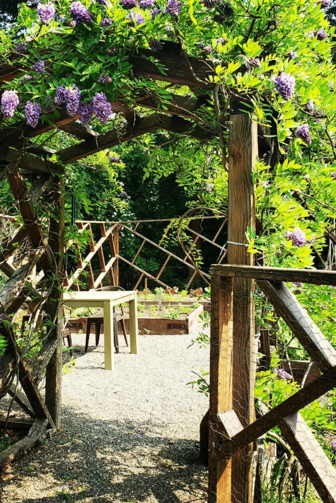 garden with dining table