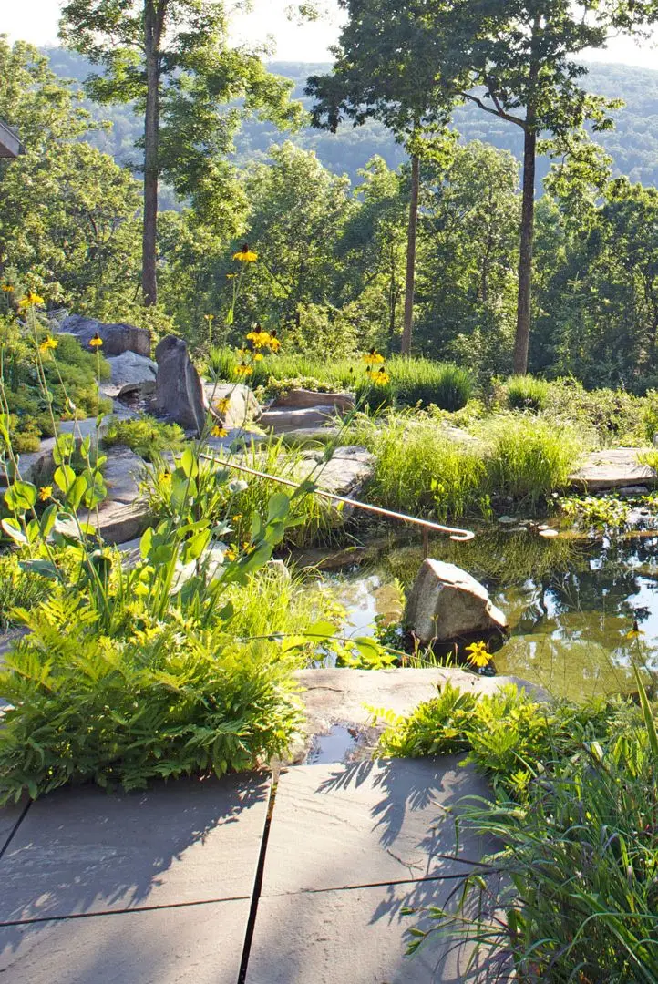 all natural swimming pool