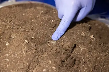 A large piece of glass found in one of the soil fill samples.