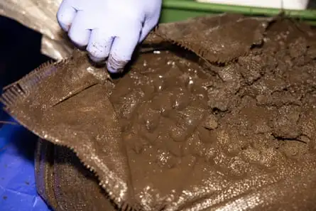 One of the bags of soil fill from which samples were taken.