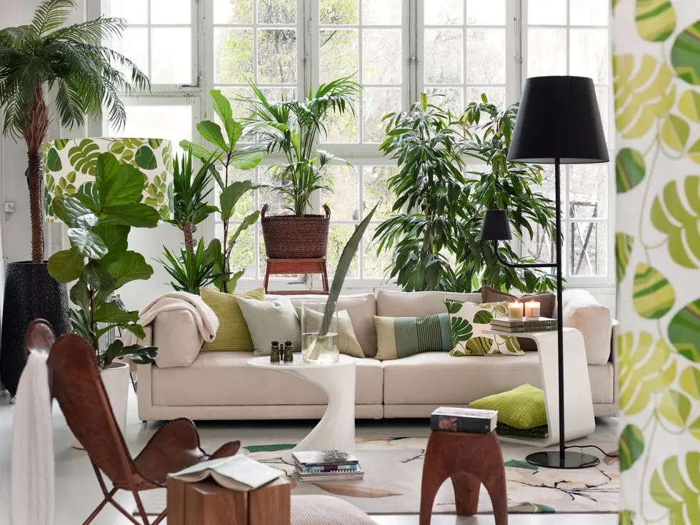 living room with potted plants