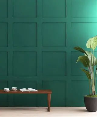 dark green wall with houseplant and wooden bench