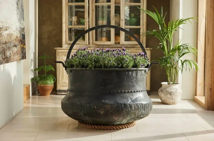 big copper pot being used as a planter