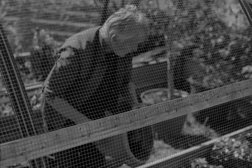 Woman crouches in greenhouse