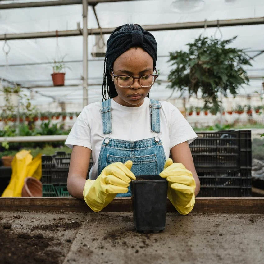 woman planting