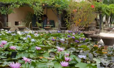 water gardens of Labour-Marliac