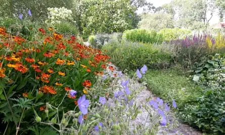 Amsterdam’s Darwinplantsoen - Darwin’s Flower Garden.