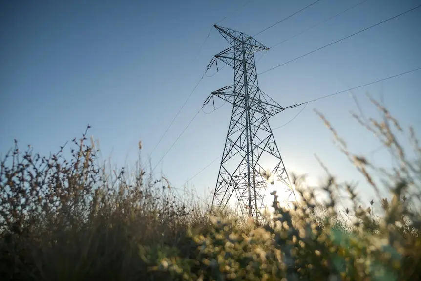 Wide angle picture looking up through long grasses to a high-voltage power line with the sun setting in the background