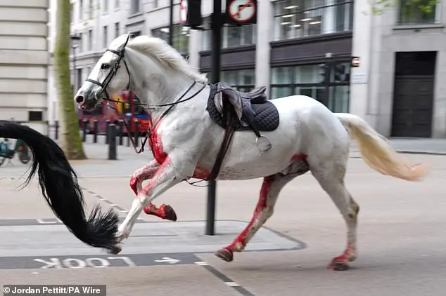 The horses was seen galloping through the streets of London in terrifying scenes in April