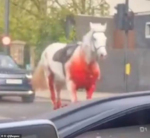 This blood-soaked Household Cavalry horse was one of five that bolted during a morning exercise (pictured between Tower Bridge and the Limehouse tunnel)