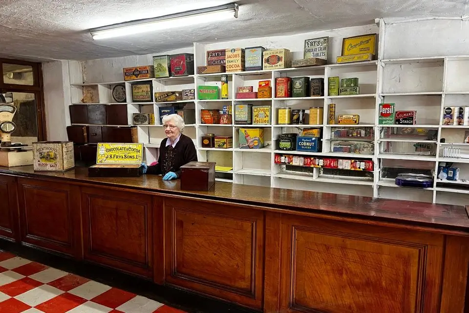 Margaret Seery in her grocer's shop in Arva, Co Cavan, which is for sale at Victor Mee