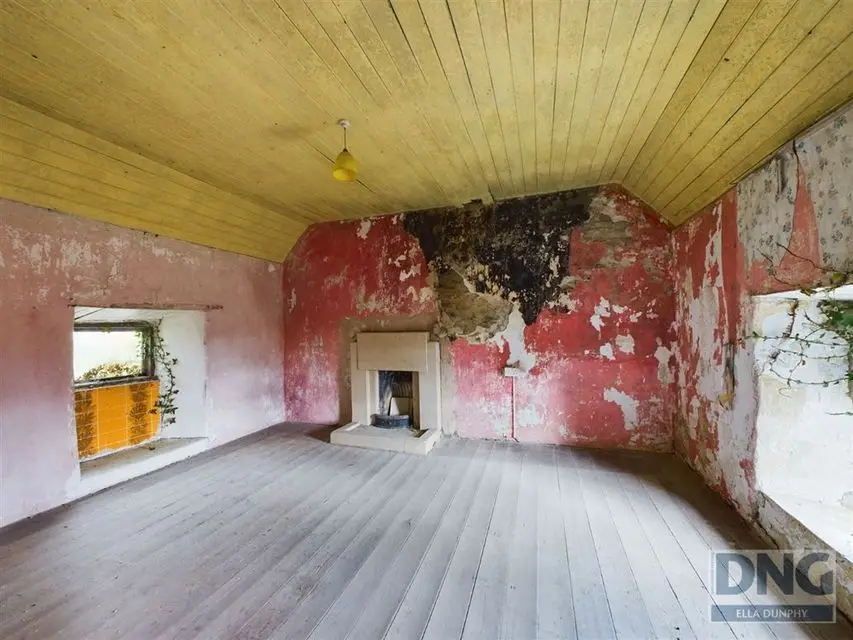 An upper floor room shows the work needed, with the garden also taking a look inside