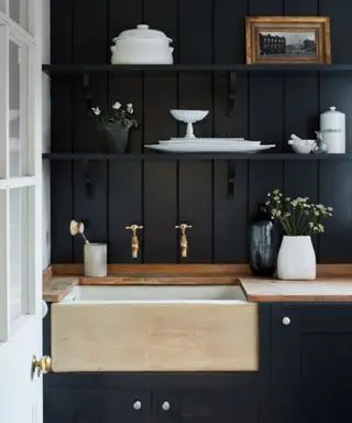 kitchen sink area with black panelled walls