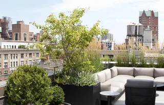 NYC Landscape project by Staghorn Living of a L shaped sofa