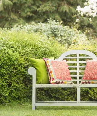 wooden garden bench with green and red patterned cushions in front of garden bushes