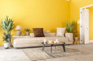 Modern Living Room Interior With Sofa, Potted Plants And Yellow Color Wall