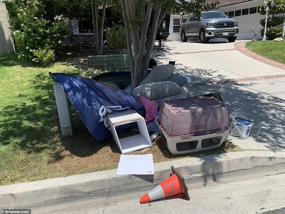 Pet carriers - for one of Spelling's various animals - a random DVD video, kids toys, and more, were also left behind