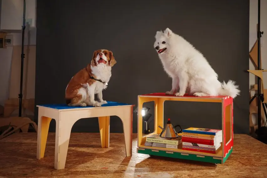 Shiro pet furniture by Colin Chee and Yee Keong Leong