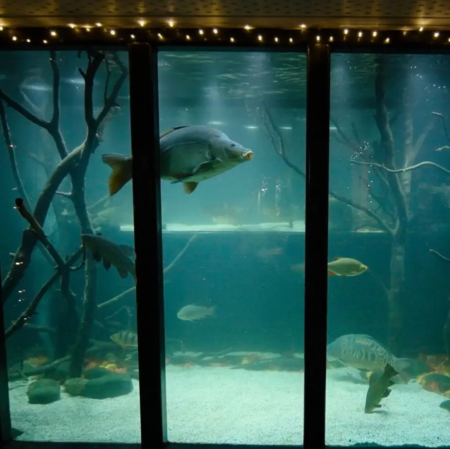 nottingham owner's two storey fish tank