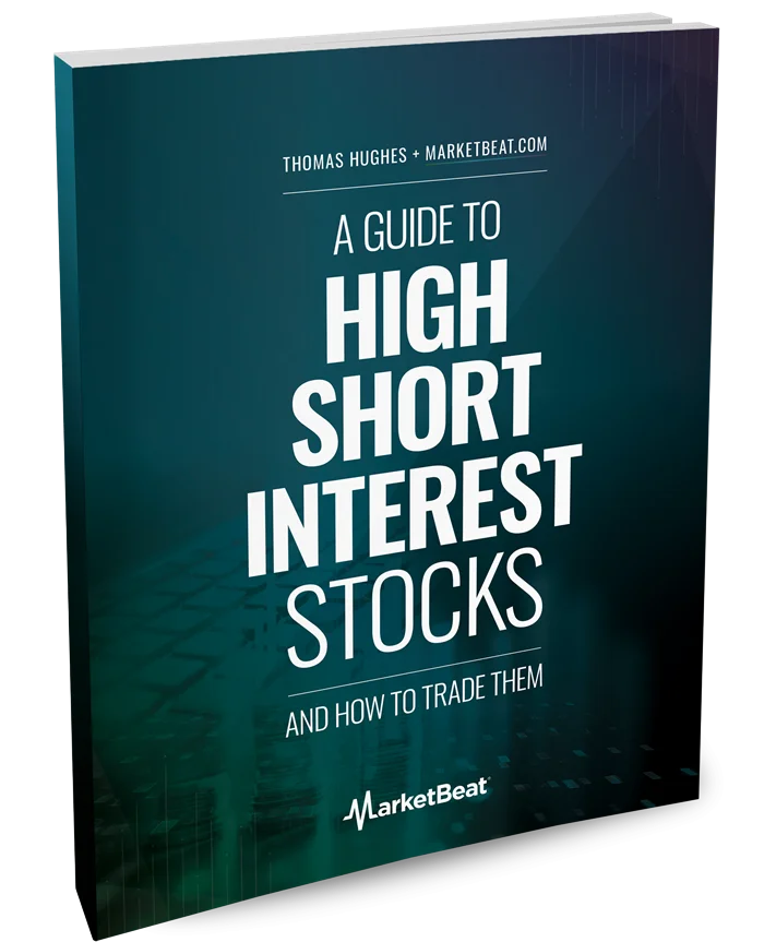 A Guide To High-Short-Interest Stocks Cover