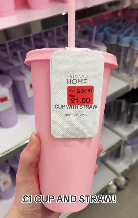 If you can't afford the pricey Stanley Quencher, and want a cheaper alternative, you'll need to check this out at Primark