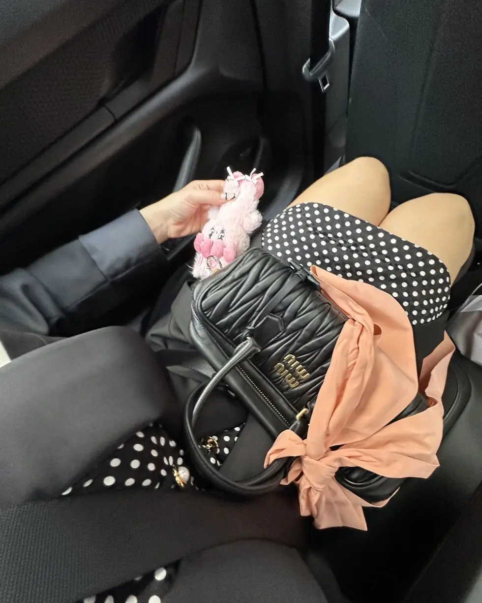 a person holding a purse in a car