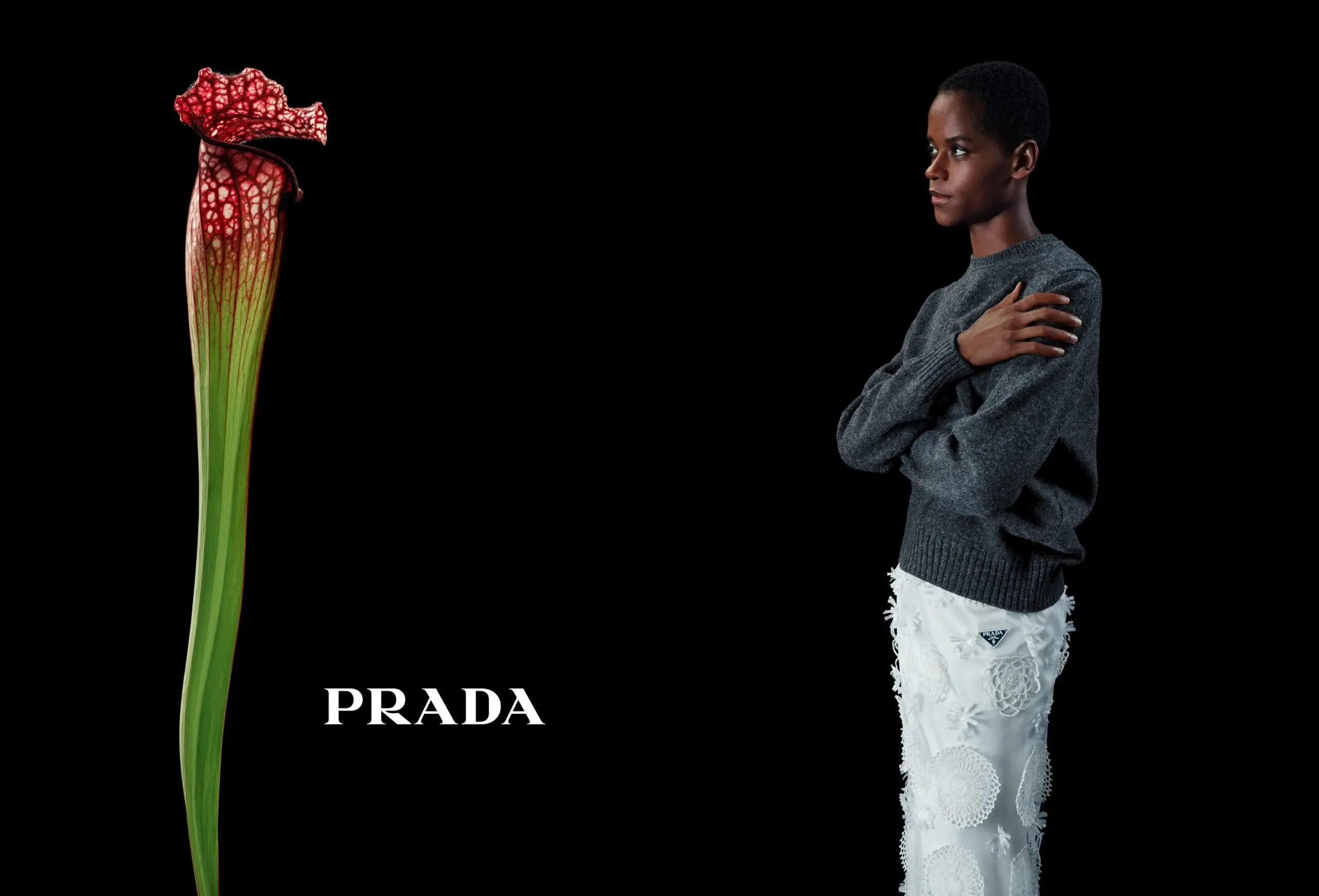 Prada Fall 2023 ad campaign photo