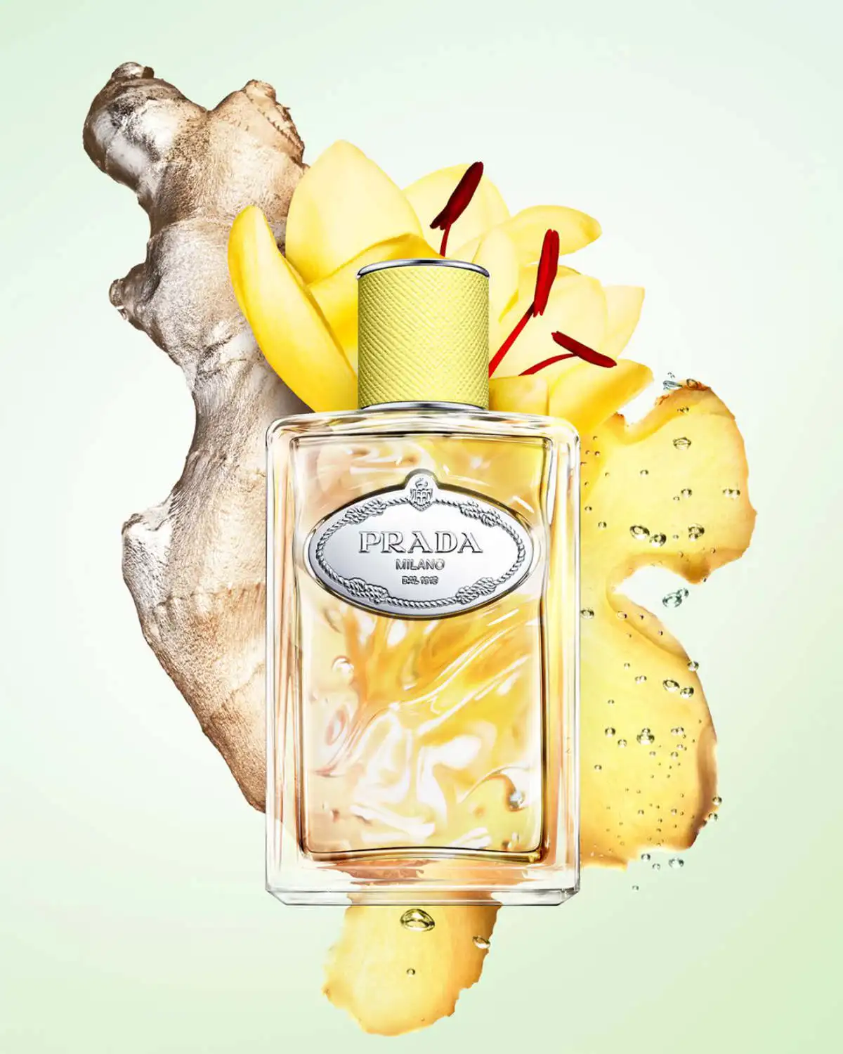 Infusion De Gingembre: The New Star In Prada's Exclusive Signature Scents Collection