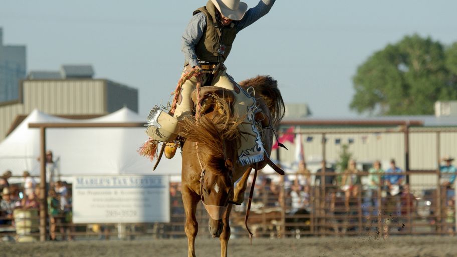 After Colliding with a Steer At the Houston Rodeo, a Star Cowboy Falls Off His Horse