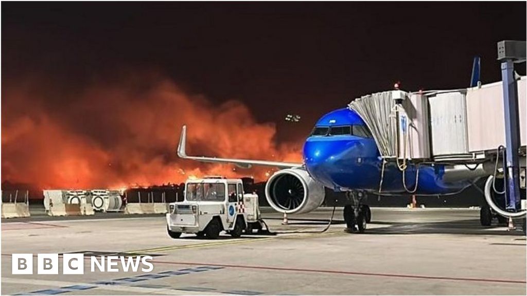 Watch raging wildfires close down Italian airport