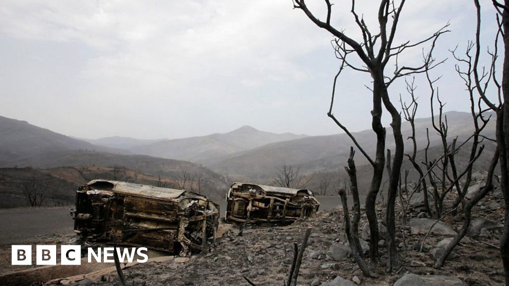 Algeria fires destroy homes and belongings