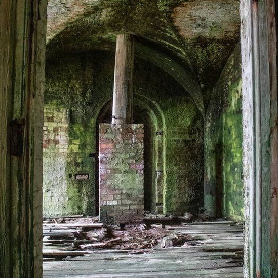 Stack Rock Fort: Victorian island reclaimed by nature