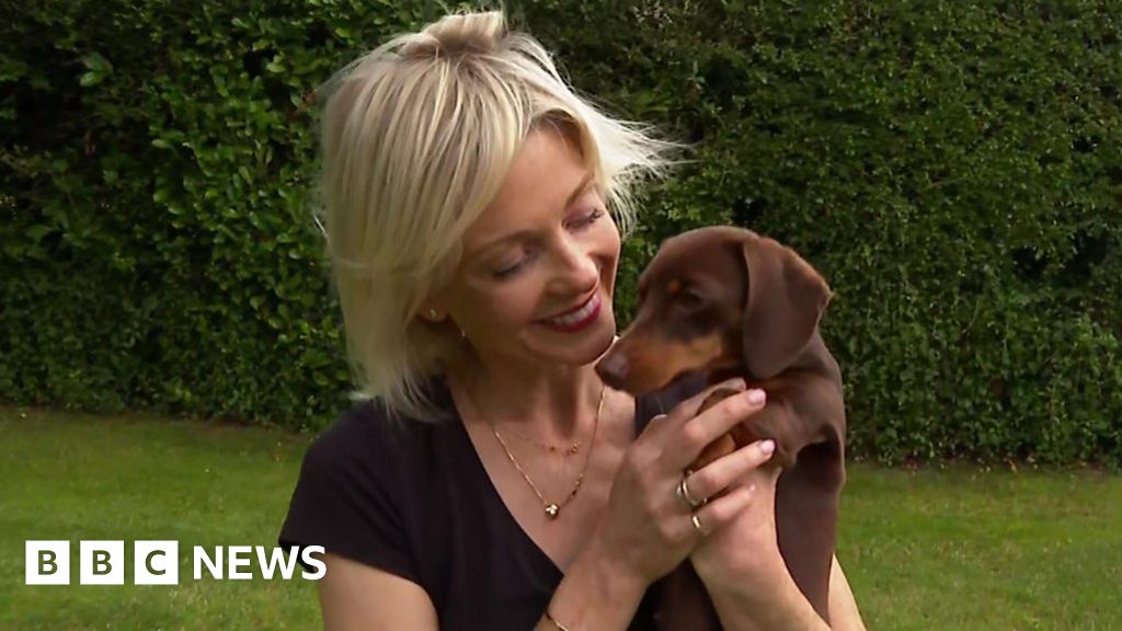 Stolen dog Twiglet back home with elated owner